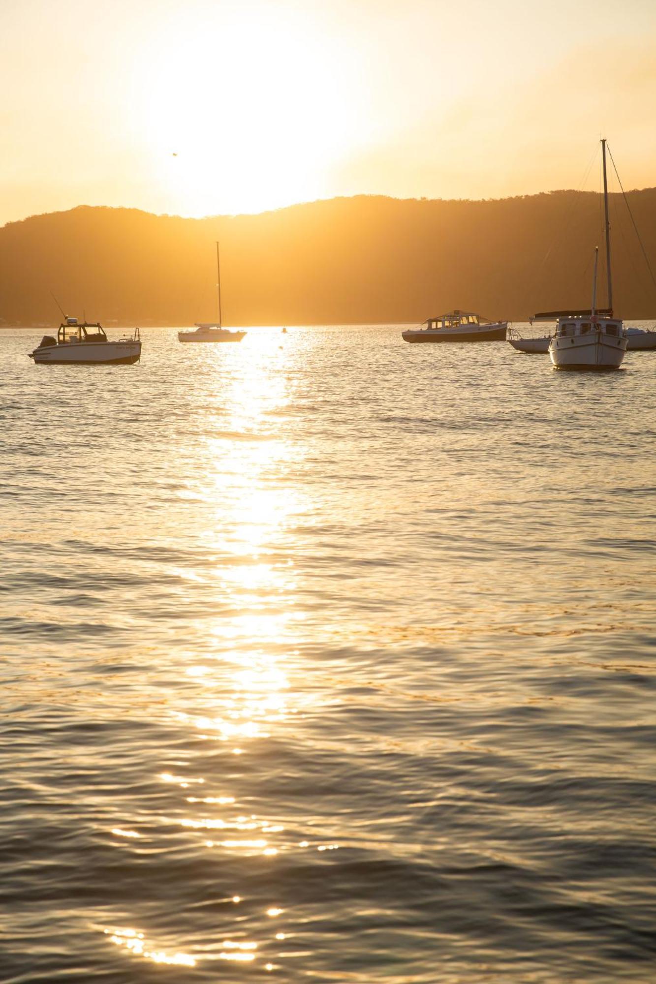 Cape Mackerel Cabin With Magic Palm Beach & Pittwater Views Villa Great Mackerel Beach Dış mekan fotoğraf